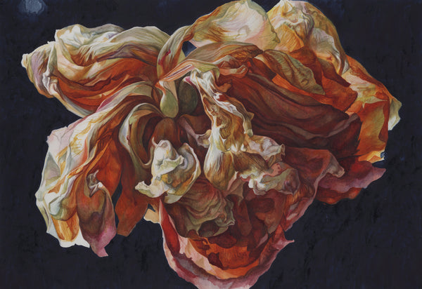 Number-23-12x16_grande.jpg?v=