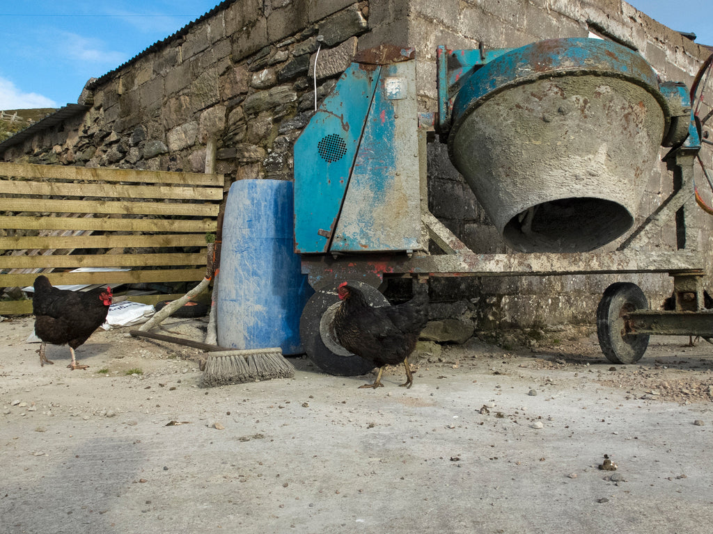Cement Mixer and Chickens, Strathanbeg, Sutherland, Scotland 2014