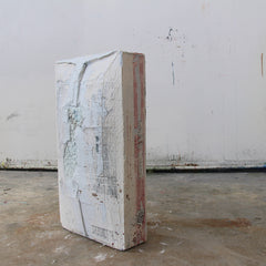 UNTITLED (PLASTER OF PARIS I)