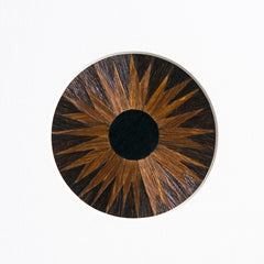 Dark Brown Eye